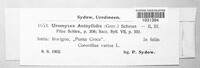 Uromyces anthyllidis image